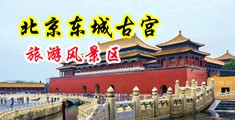 大黑鸡巴黄片儿中国北京-东城古宫旅游风景区